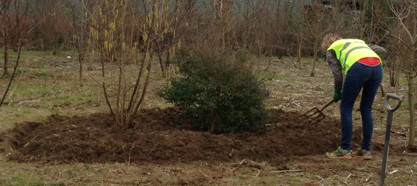 Bee Naturals Planting For The Environment.